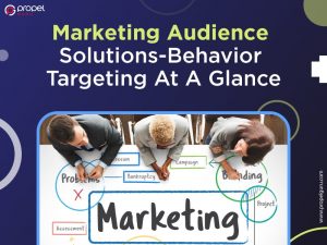 Read more about the article Marketing Audience Solutions-Behavior Targeting At A Glance